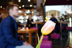 Kroegcollege At Osborne Februari 2019 Real Estate Club Groningen 2